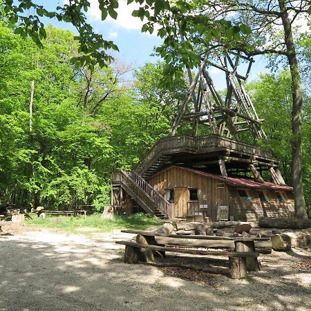 Вілла Ochys Waldfreizeitpark Oberkreuzstetten Екстер'єр фото