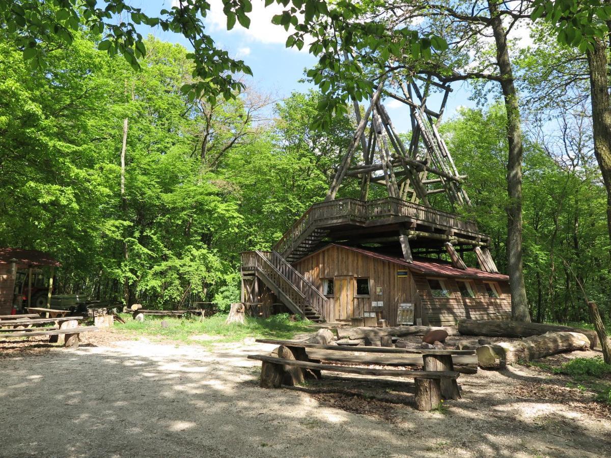 Вілла Ochys Waldfreizeitpark Oberkreuzstetten Екстер'єр фото